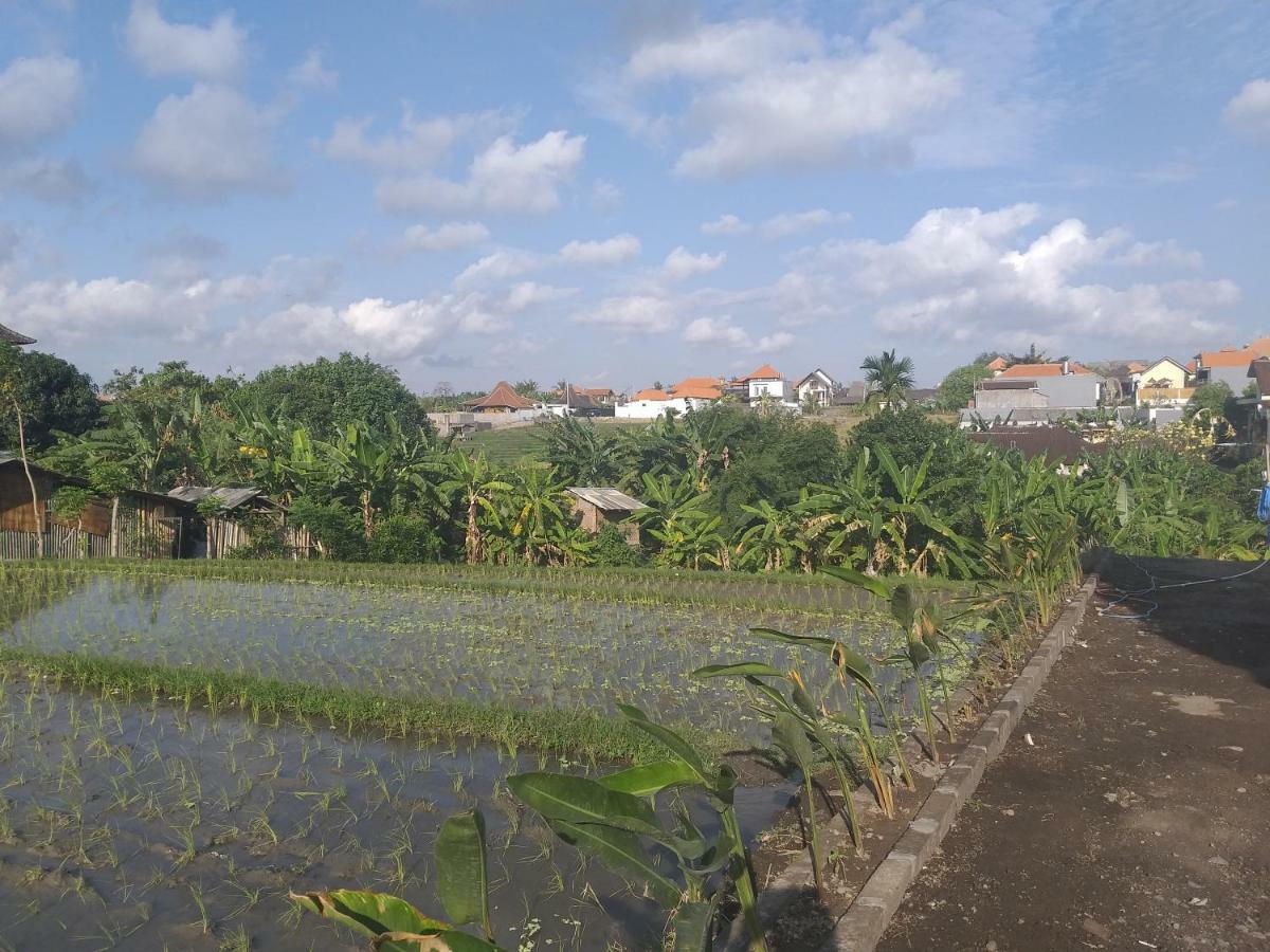 Pd Bali Guesthouse Canggu  Exterior photo